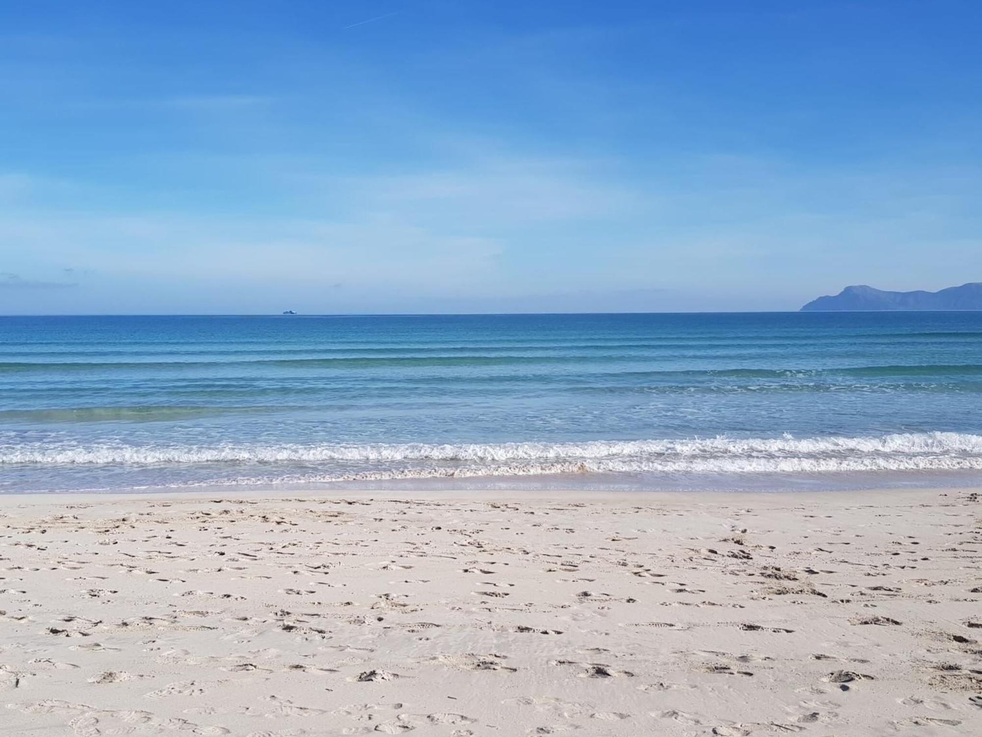 Pet-friendly Near * Alcudia (Mallorca)