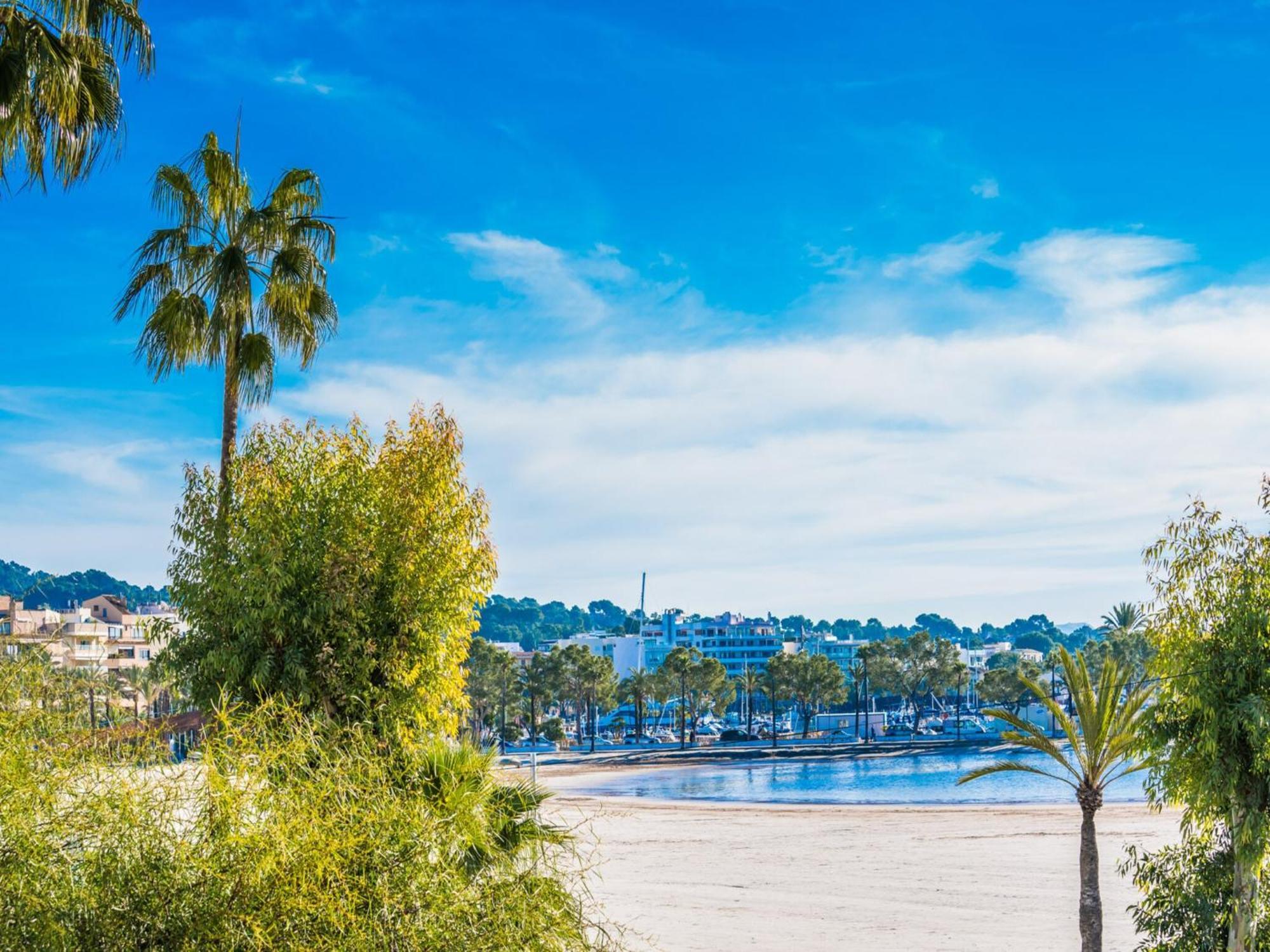 Pet-friendly Near Alcudia (Mallorca)